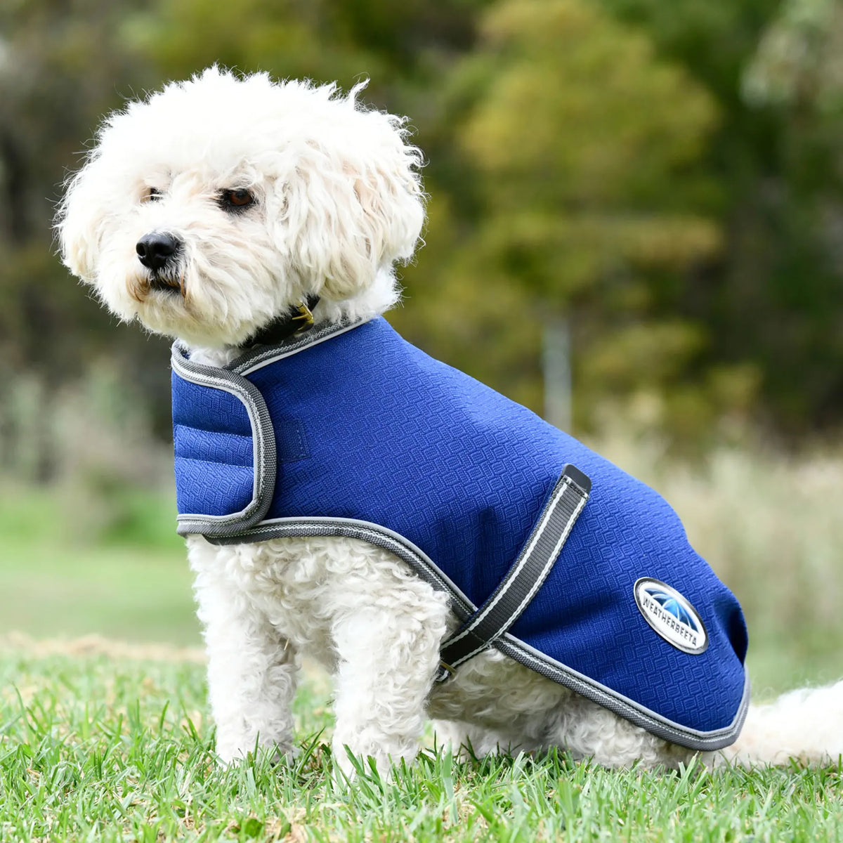 WeatherBeeta ComFiTec Premier Free Parka 220g Dog Coat - Dark Blue
